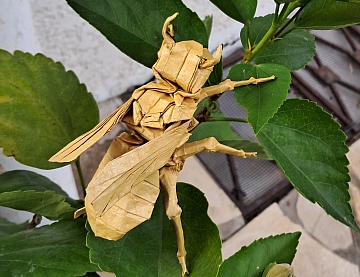 jorigami